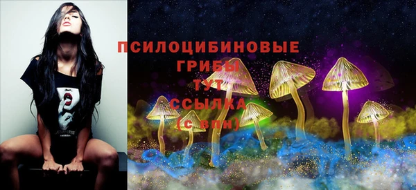 трава Киреевск