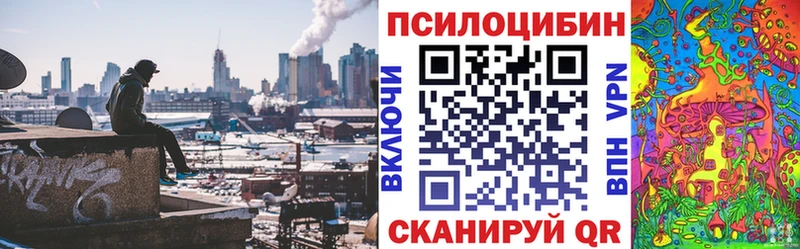 Купить  Голицыно  Псилоцибиновые грибы Psilocybine cubensis 