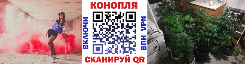 Бошки марихуана планчик Голицыно